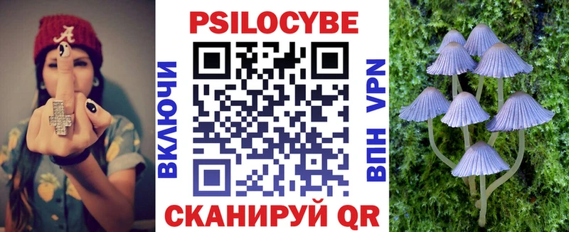 Галлюциногенные грибы Psilocybe  где продают   Зеленокумск 